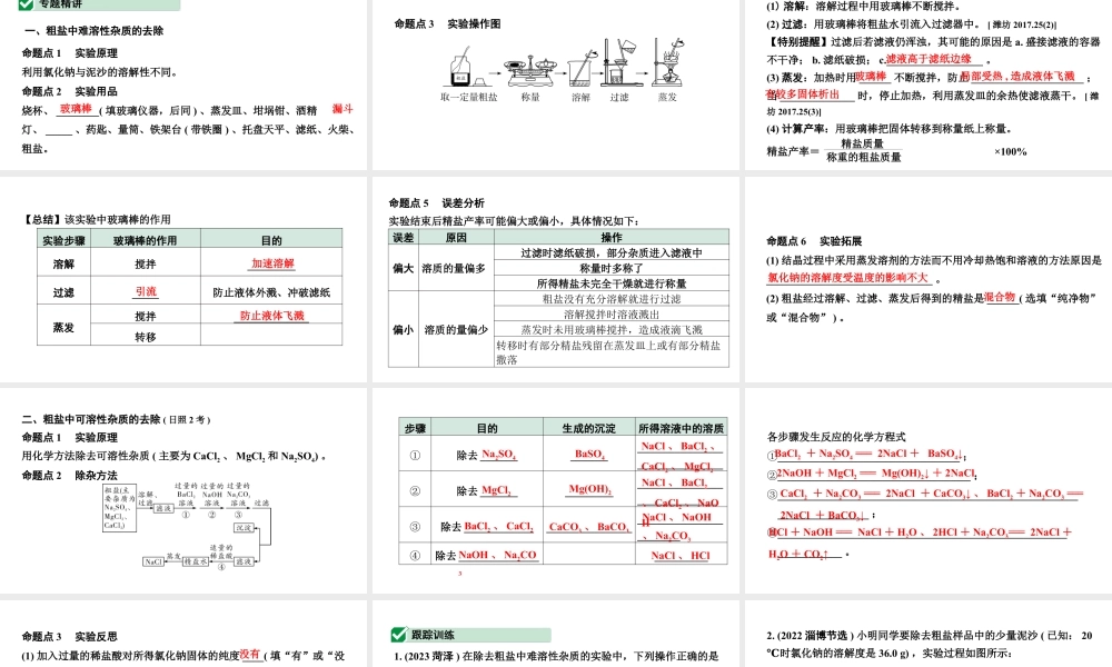 2024山东中考化学二轮专题复习 微专题 粗盐提纯（课件）.pptx