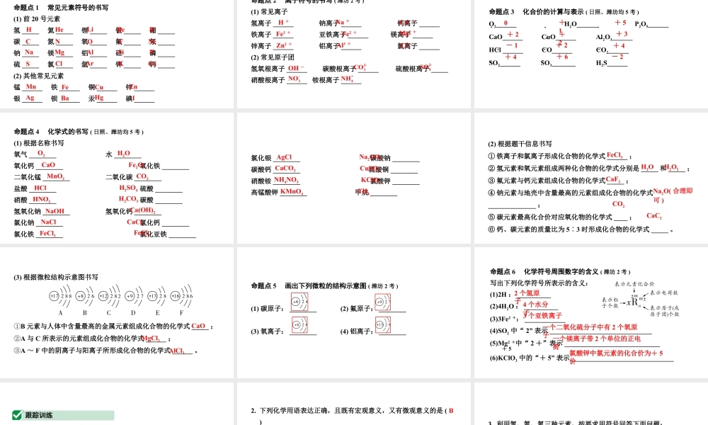 2024山东中考化学二轮专题复习 微专题 化学用语（课件）.pptx