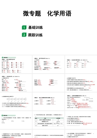 2024山东中考化学二轮专题复习 微专题 化学用语（课件）.pptx
