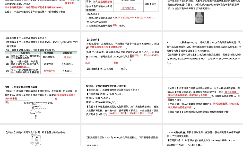 2024山东中考化学二轮专题复习 微专题 碱质变的探究（课件）.pptx