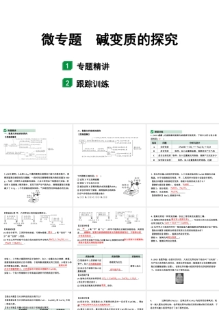 2024山东中考化学二轮专题复习 微专题 碱质变的探究（课件）.pptx