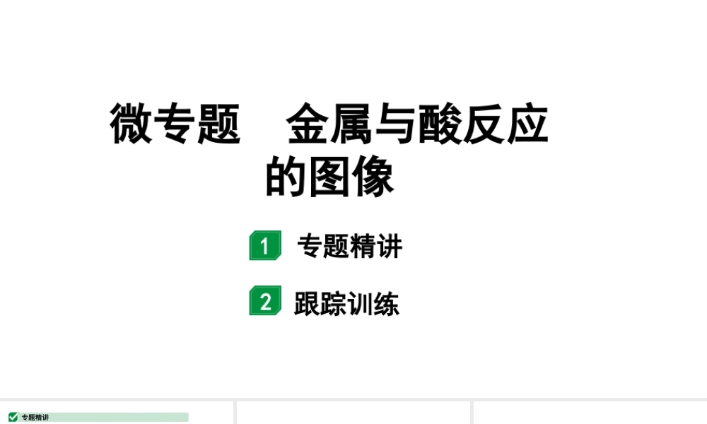 2024山东中考化学二轮专题复习 微专题 金属与酸反应的图像（课件）.pptx