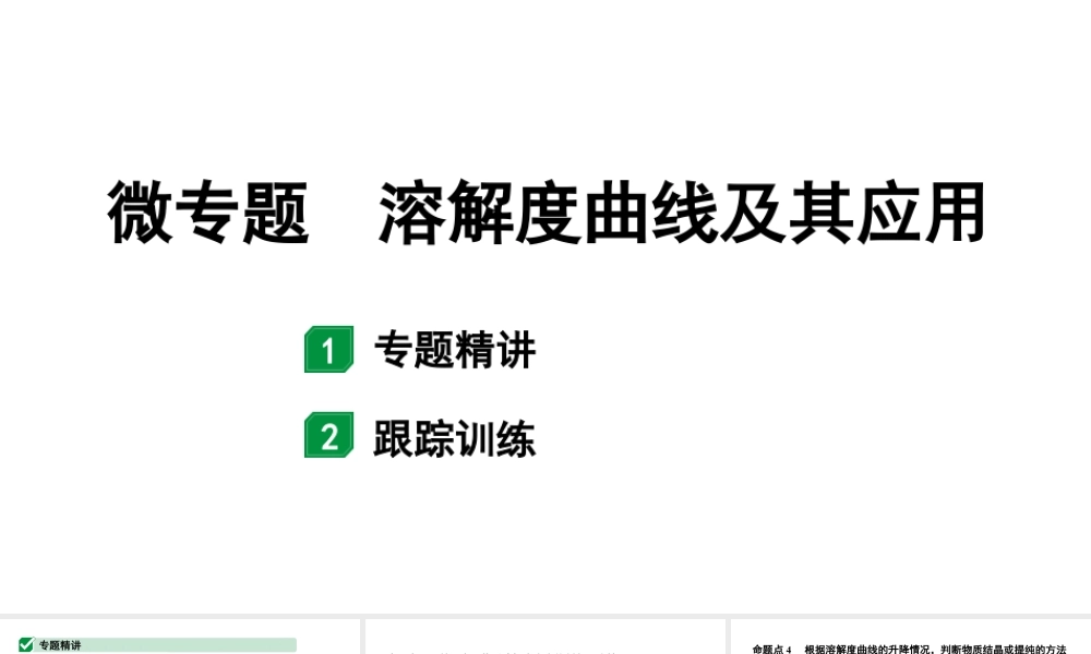 2024山东中考化学二轮专题复习 微专题 溶解度曲线及其应用（课件）.pptx