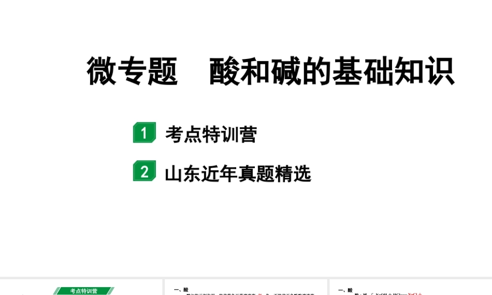 2024山东中考化学二轮专题复习 微专题 酸和碱的基础知识（课件）.pptx