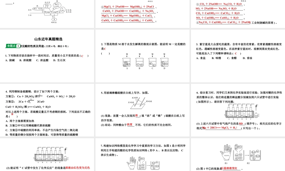 2024山东中考化学二轮专题复习 微专题 酸和碱的基础知识（课件）.pptx