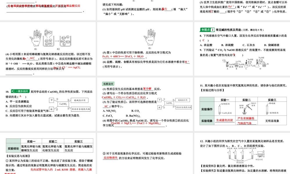 2024山东中考化学二轮专题复习 微专题 酸和碱的基础知识（课件）.pptx