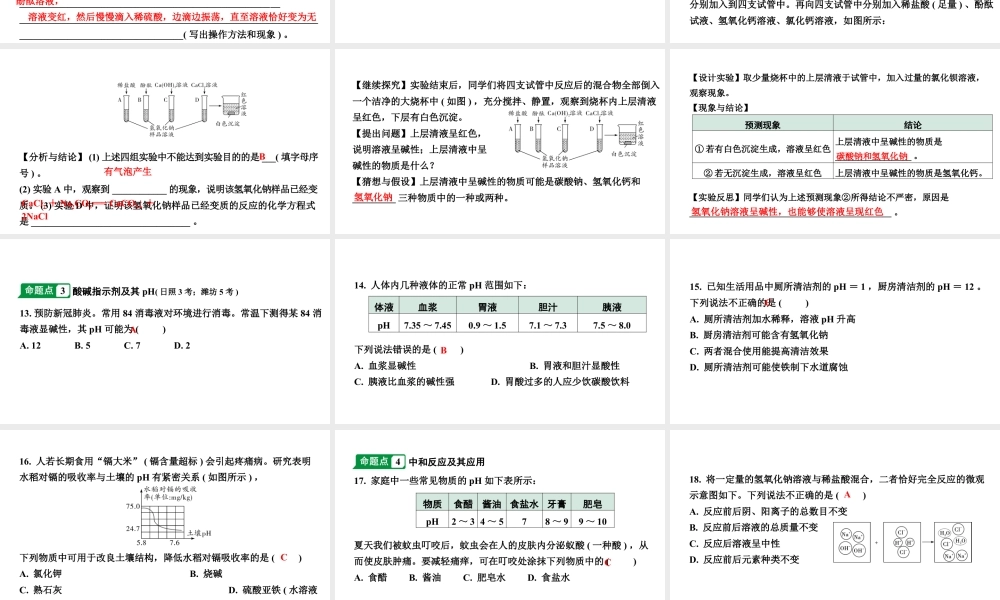 2024山东中考化学二轮专题复习 微专题 酸和碱的基础知识（课件）.pptx