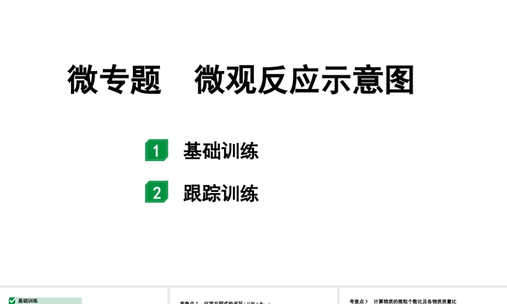 2024山东中考化学二轮专题复习 微专题 微观反应示意图（课件）.pptx