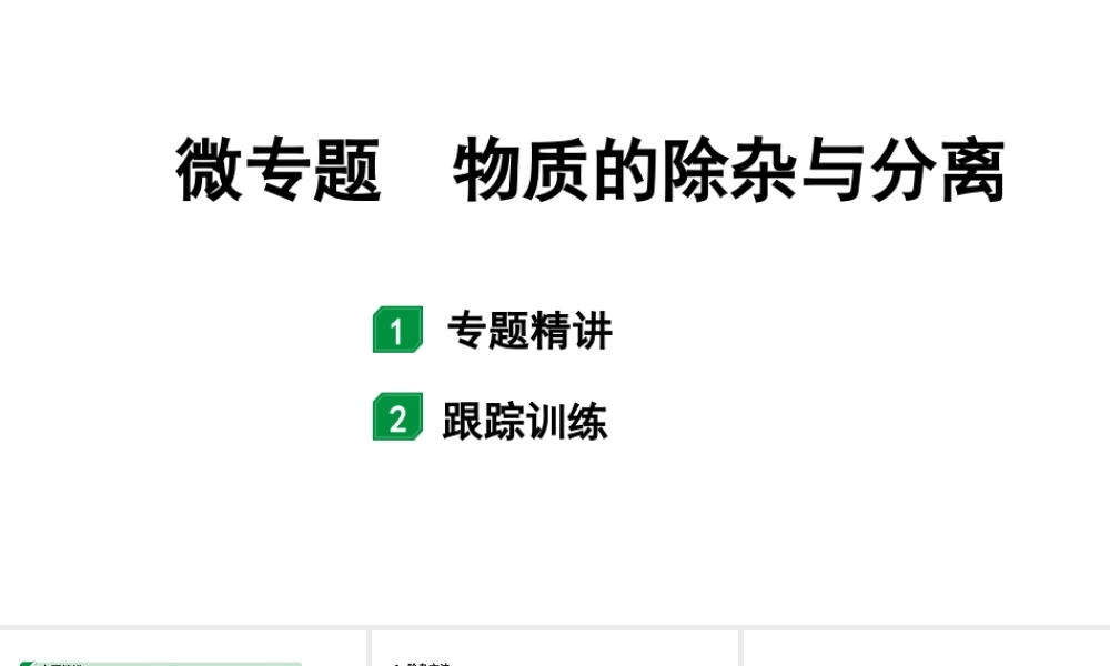 2024山东中考化学二轮专题复习 微专题 物质的除杂与分离（课件）.pptx