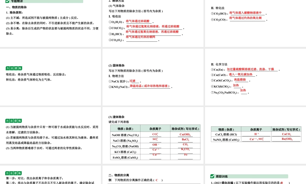 2024山东中考化学二轮专题复习 微专题 物质的除杂与分离（课件）.pptx