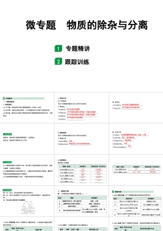 2024山东中考化学二轮专题复习 微专题 物质的除杂与分离（课件）.pptx