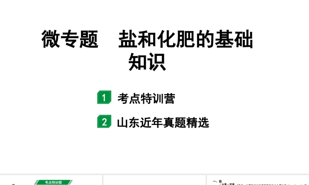 2024山东中考化学二轮专题复习 微专题 盐和化肥的基础知识（课件）.pptx