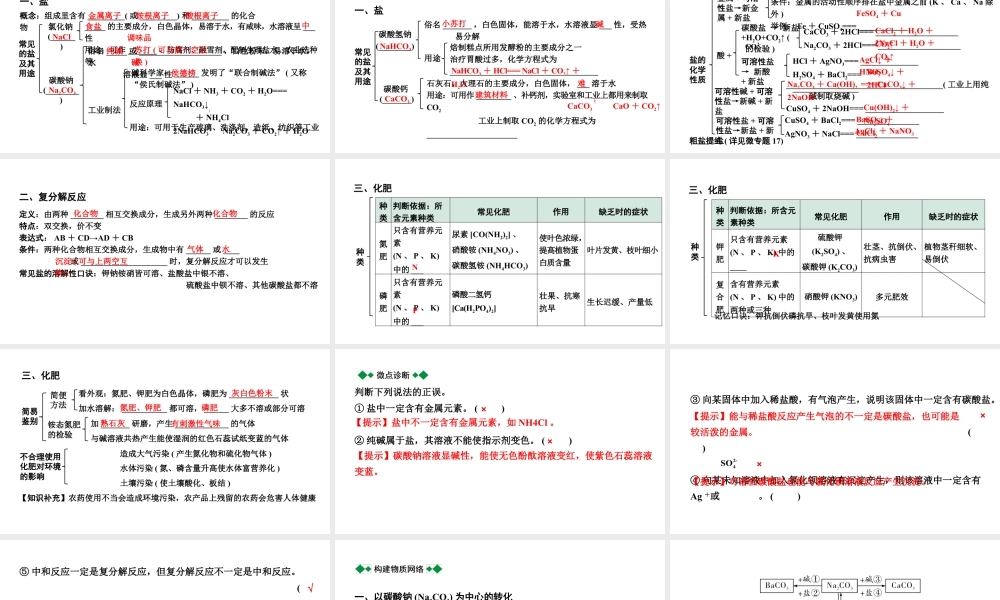 2024山东中考化学二轮专题复习 微专题 盐和化肥的基础知识（课件）.pptx