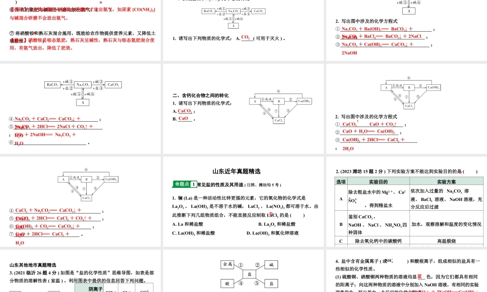 2024山东中考化学二轮专题复习 微专题 盐和化肥的基础知识（课件）.pptx