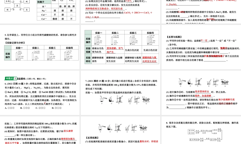 2024山东中考化学二轮专题复习 微专题 盐和化肥的基础知识（课件）.pptx