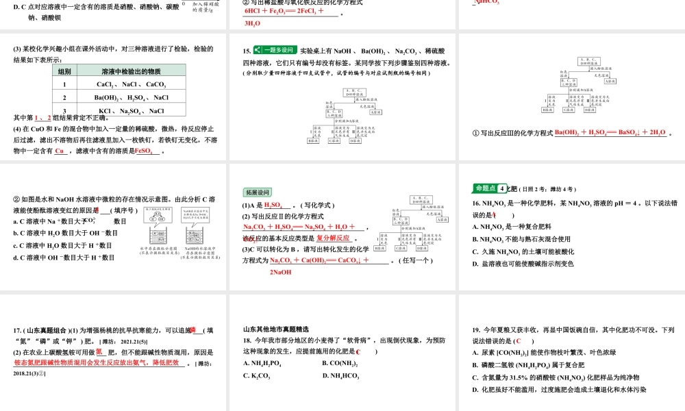 2024山东中考化学二轮专题复习 微专题 盐和化肥的基础知识（课件）.pptx