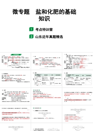 2024山东中考化学二轮专题复习 微专题 盐和化肥的基础知识（课件）.pptx