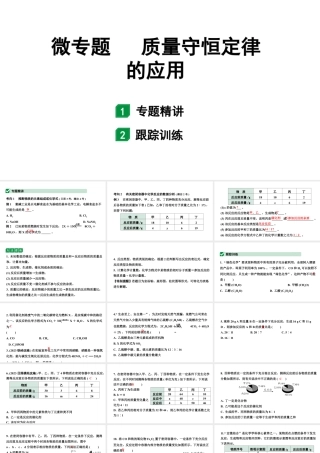 2024山东中考化学二轮专题复习 微专题 质量守恒定律的应用（课件）.pptx