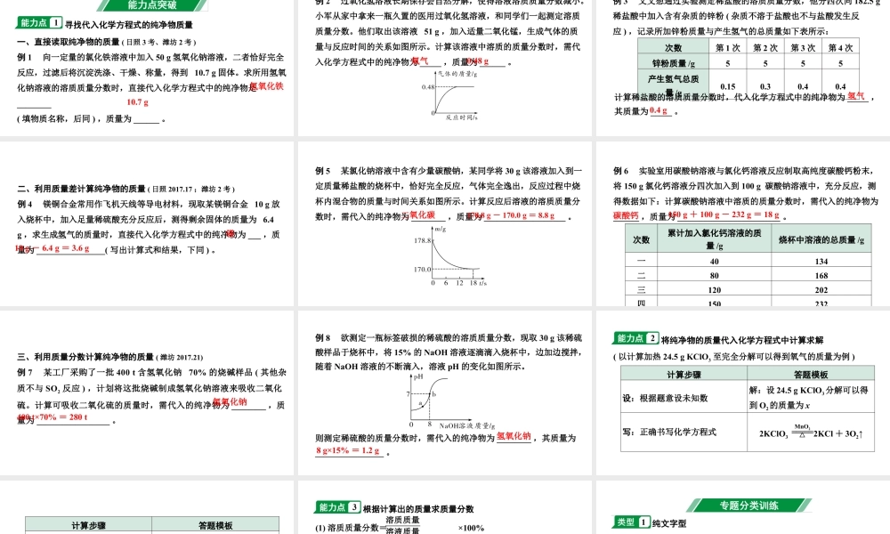 2024山东中考化学二轮专题复习 专题八 常见的化学计算（课件）.pptx