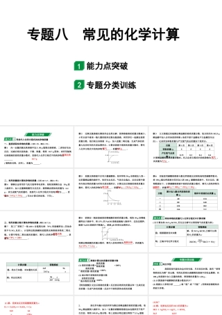 2024山东中考化学二轮专题复习 专题八 常见的化学计算（课件）.pptx
