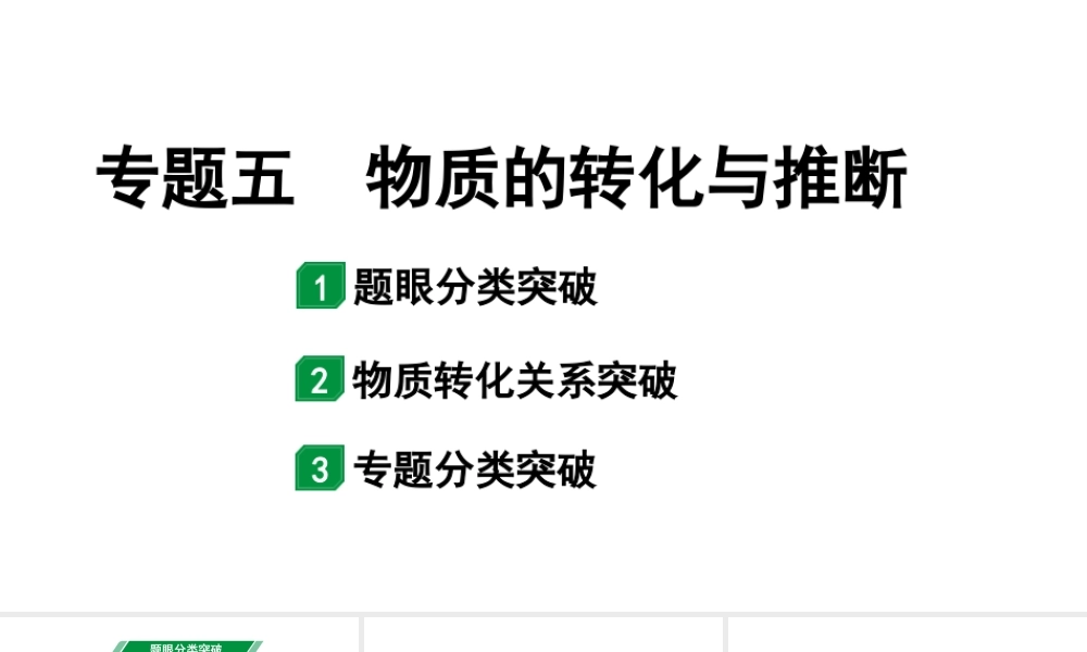 2024山东中考化学二轮专题复习 专题五 物质的转化与推断（课件）.pptx