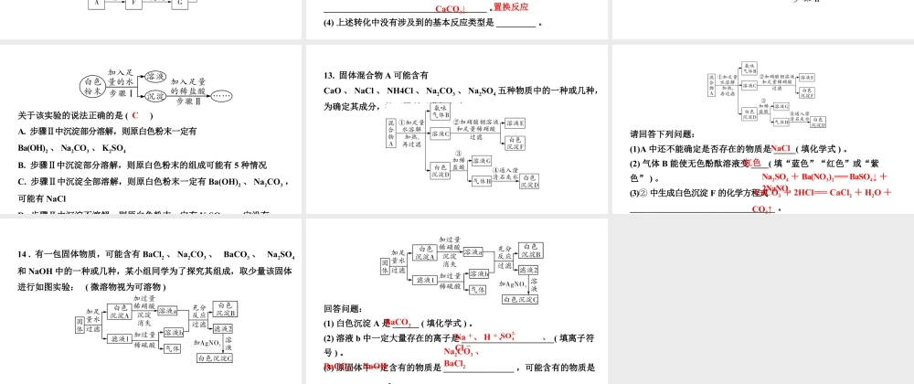 2024山东中考化学二轮专题复习 专题五 物质的转化与推断（课件）.pptx