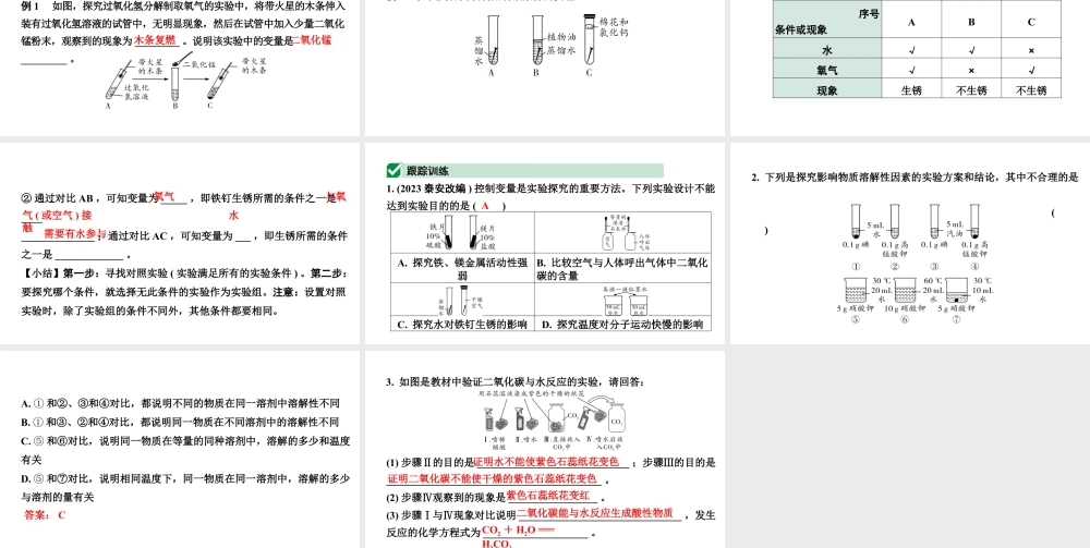 2024山东中考化学二轮专题复习 专题一 横向实验归类练（课件）.pptx