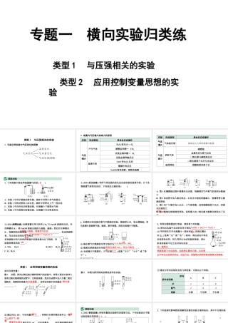 2024山东中考化学二轮专题复习 专题一 横向实验归类练（课件）.pptx