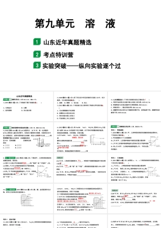 2024山东中考化学一轮复习 中考考点研究 第九单元 溶液（课件）.pptx