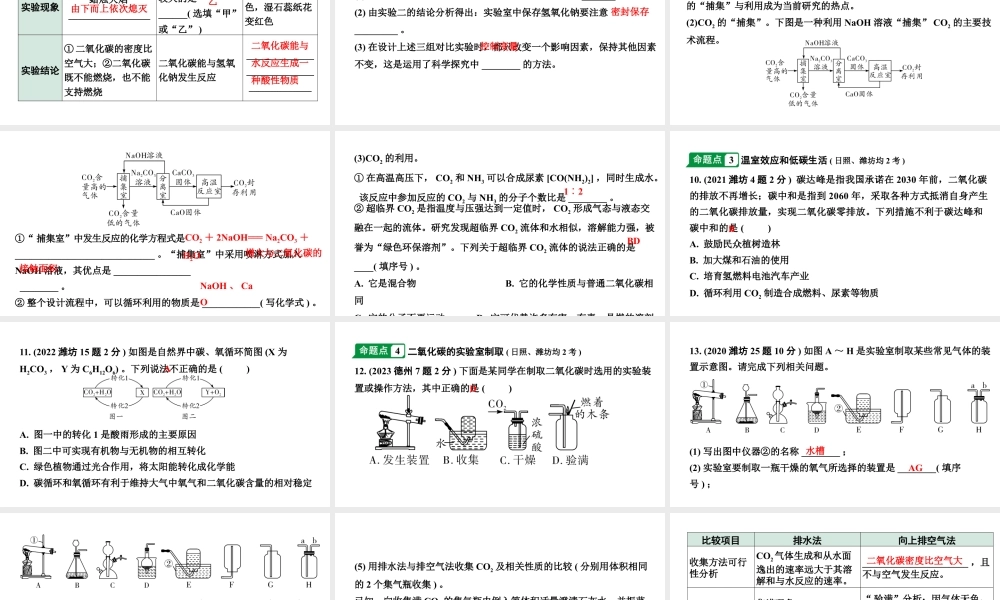 2024山东中考化学一轮复习 中考考点研究 第六单元 碳和碳的氧化物（课件）.pptx