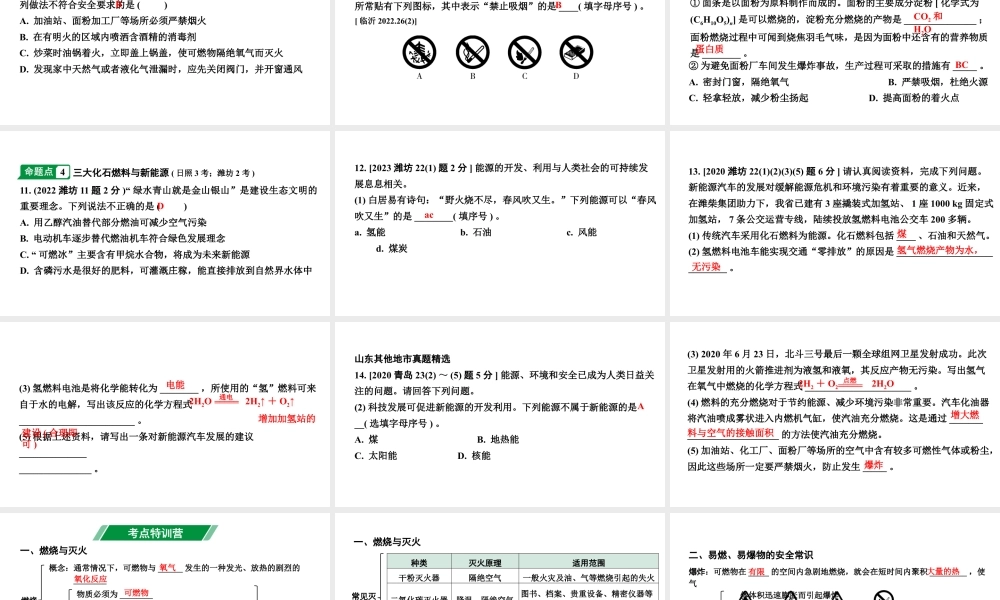 2024山东中考化学一轮复习 中考考点研究 第七单元 燃料及其利用（课件）.pptx