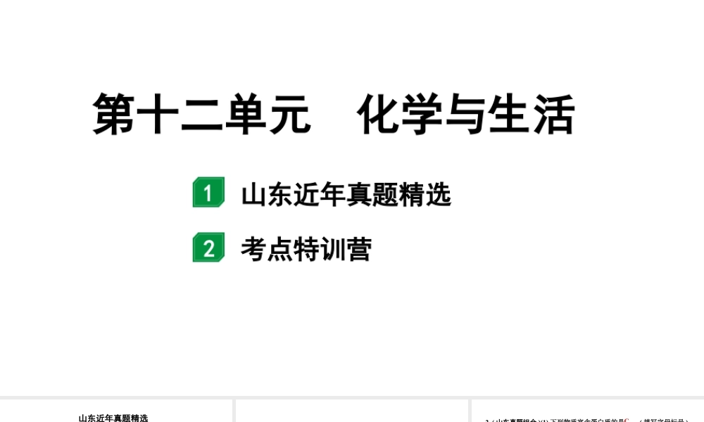 2024山东中考化学一轮复习 中考考点研究 第十二单元  化学与生活（课件）.pptx