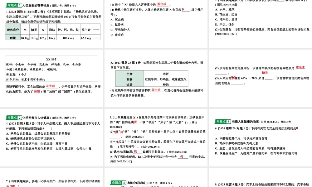 2024山东中考化学一轮复习 中考考点研究 第十二单元  化学与生活（课件）.pptx