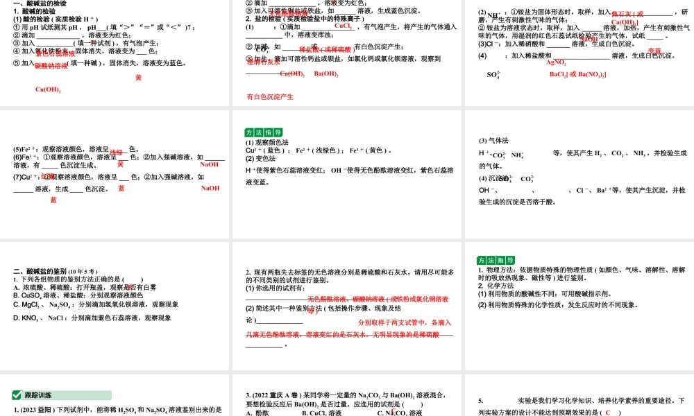 2024陕西中考化学二轮复习之陕西中考考点研究 微专题 酸碱盐的检验与鉴别（课件）.pptx