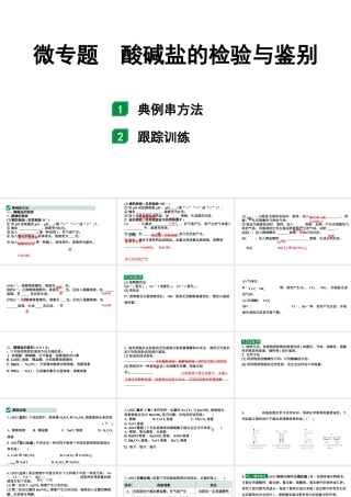 2024陕西中考化学二轮复习之陕西中考考点研究 微专题 酸碱盐的检验与鉴别（课件）.pptx
