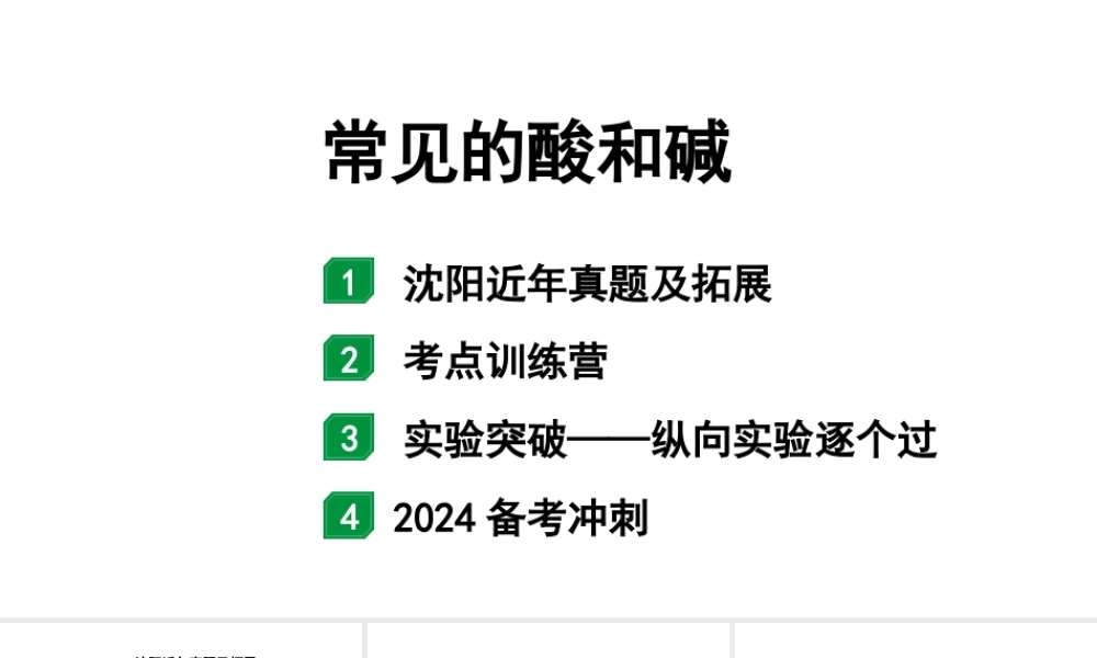 2024沈阳中考化学二轮专题突破 常见的酸和碱（课件）.pptx