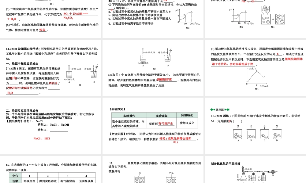 2024沈阳中考化学二轮专题突破 常见的酸和碱（课件）.pptx