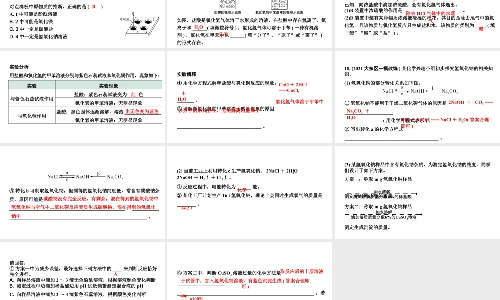 2024沈阳中考化学二轮专题突破 常见的酸和碱（课件）.pptx