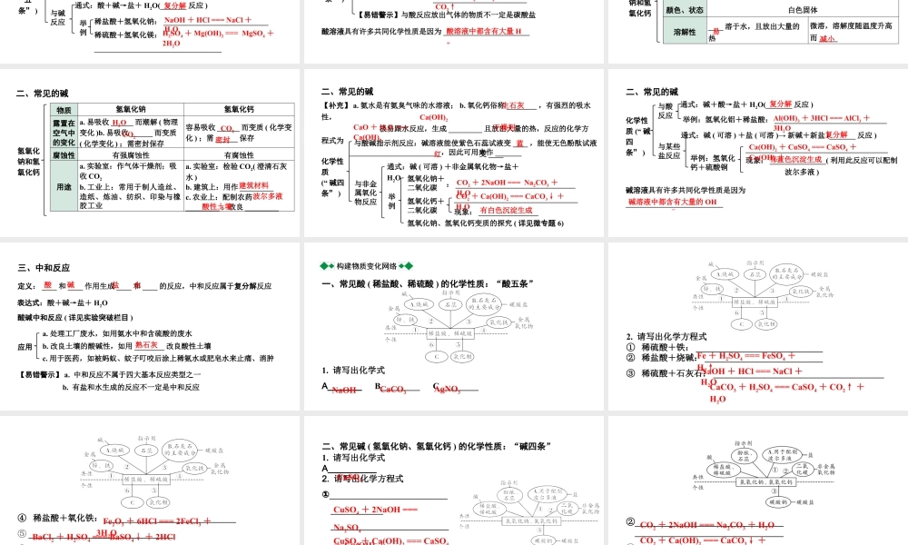 2024沈阳中考化学二轮专题突破 常见的酸和碱（课件）.pptx