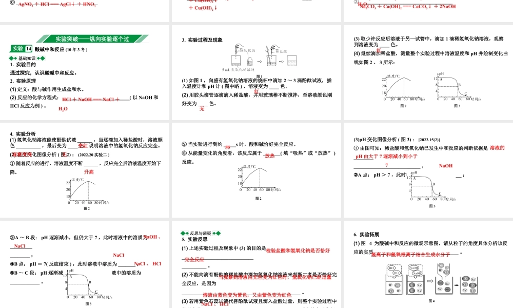 2024沈阳中考化学二轮专题突破 常见的酸和碱（课件）.pptx