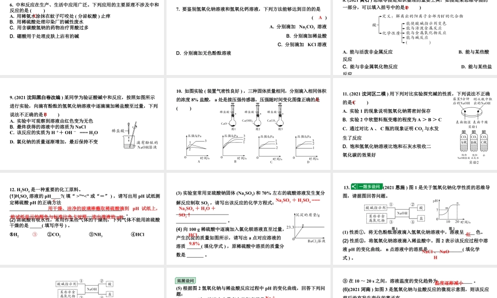 2024沈阳中考化学二轮专题突破 常见的酸和碱（课件）.pptx