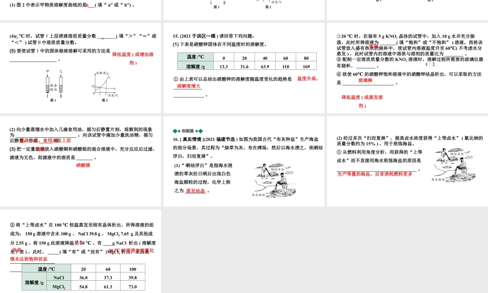 2024沈阳中考化学二轮专题突破 第6章  溶解现象（课件）.pptx