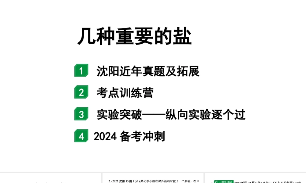 2024沈阳中考化学二轮专题突破 几种重要的盐（课件）.pptx