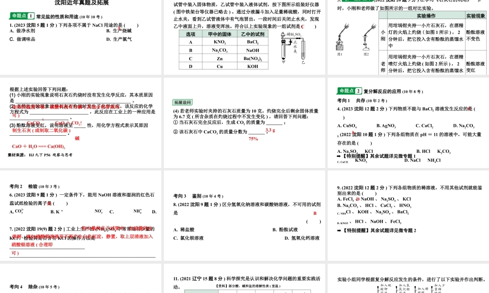 2024沈阳中考化学二轮专题突破 几种重要的盐（课件）.pptx