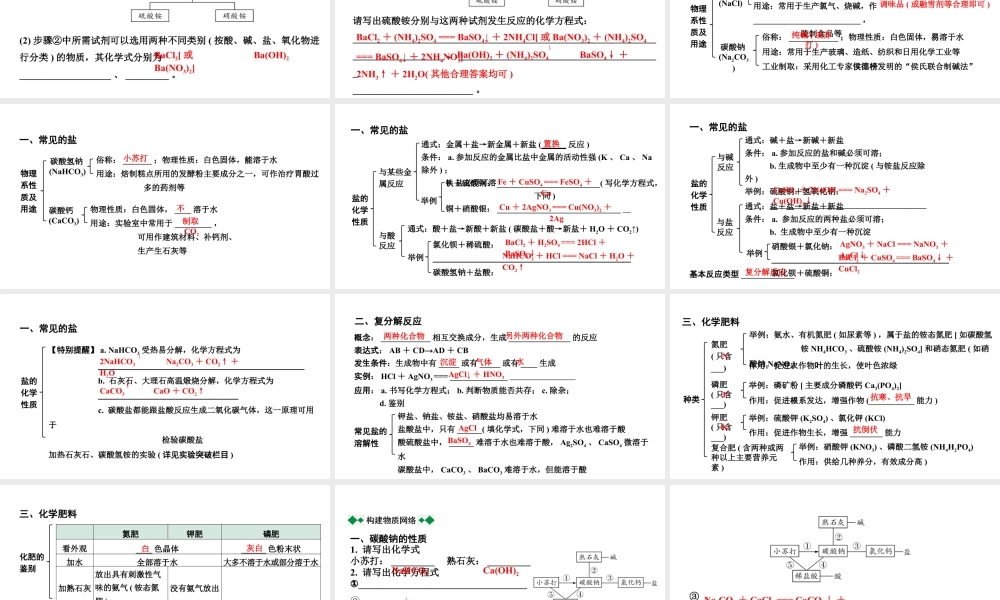 2024沈阳中考化学二轮专题突破 几种重要的盐（课件）.pptx