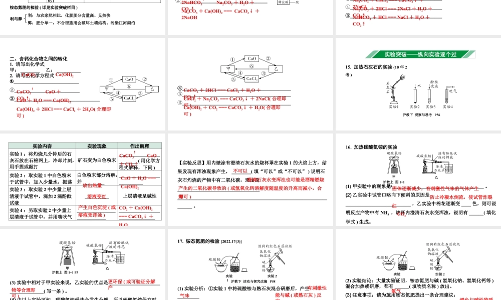 2024沈阳中考化学二轮专题突破 几种重要的盐（课件）.pptx