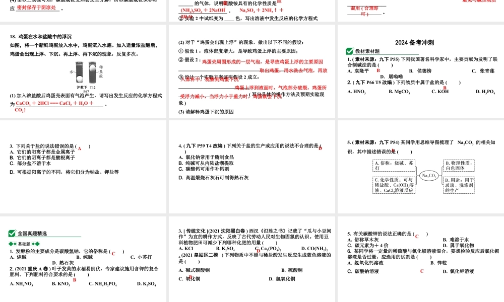 2024沈阳中考化学二轮专题突破 几种重要的盐（课件）.pptx