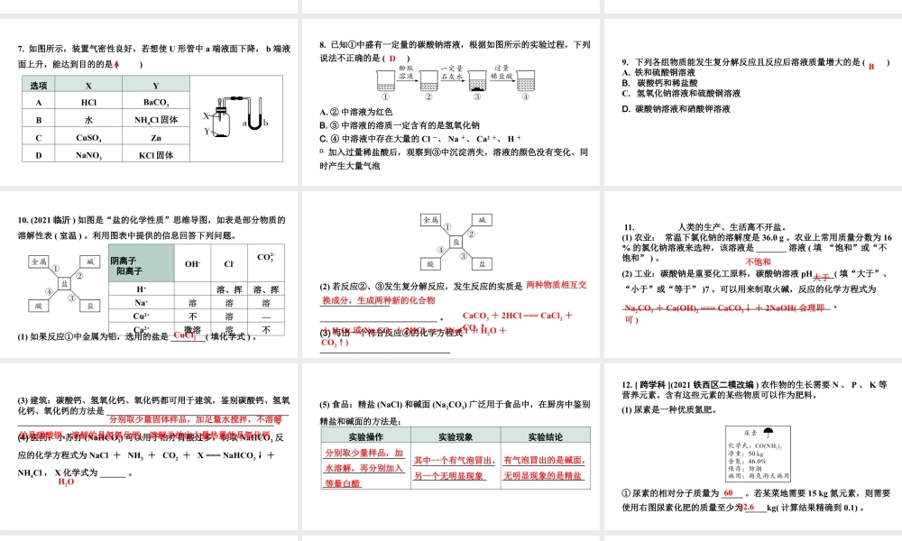 2024沈阳中考化学二轮专题突破 几种重要的盐（课件）.pptx