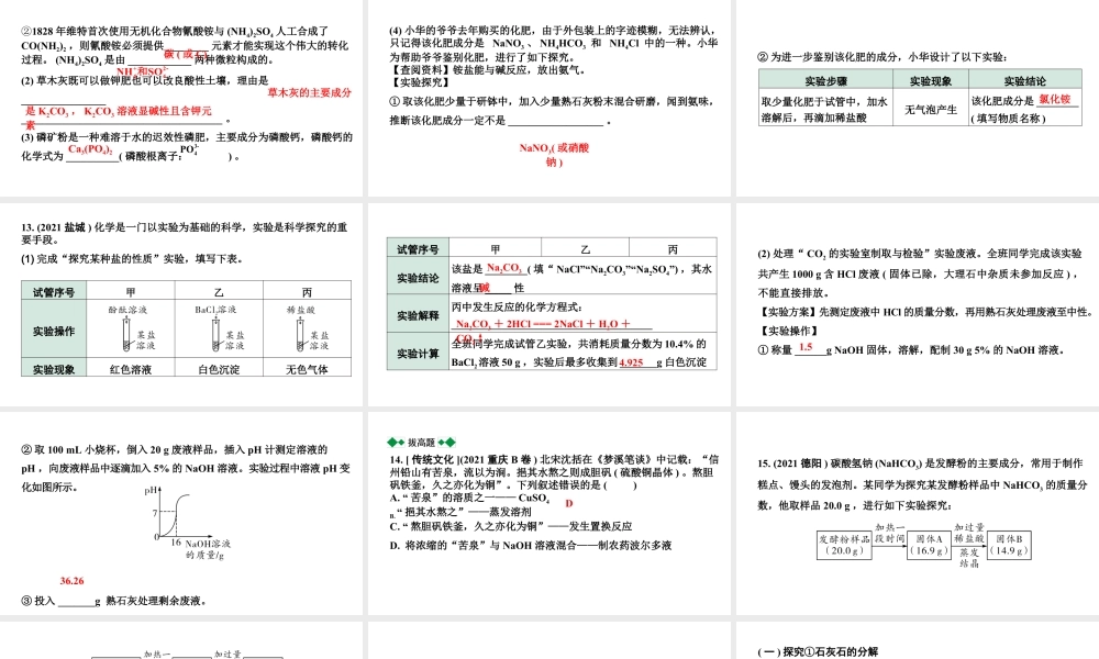 2024沈阳中考化学二轮专题突破 几种重要的盐（课件）.pptx