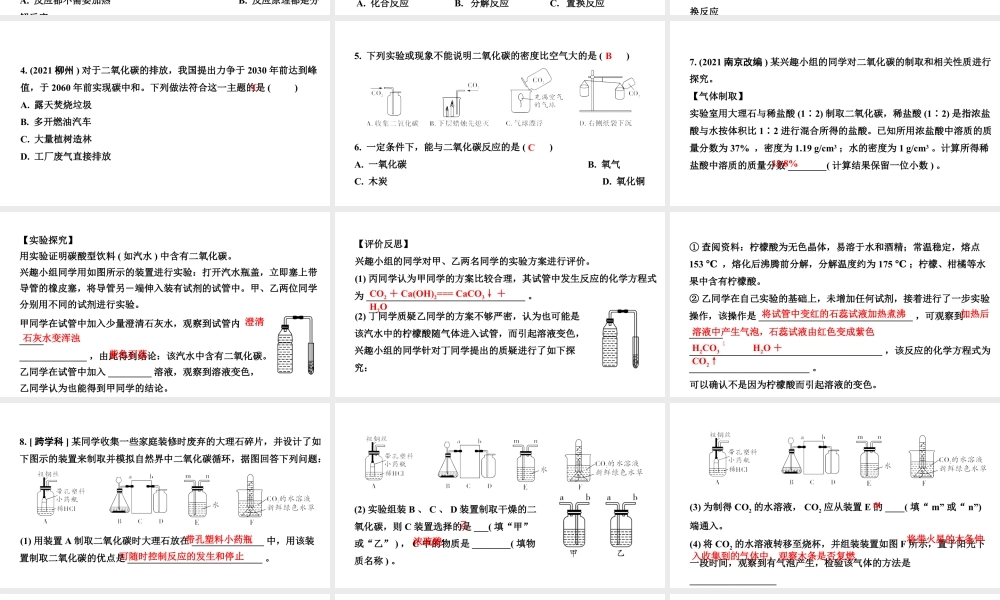 2024沈阳中考化学二轮专题突破 奇妙的二氧化碳（课件）.pptx